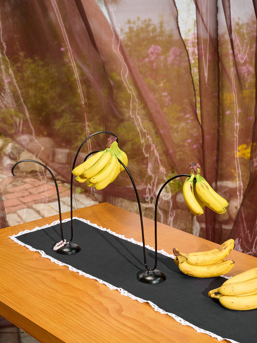 Two Banana Trees by Gohar World with Bananas all about.