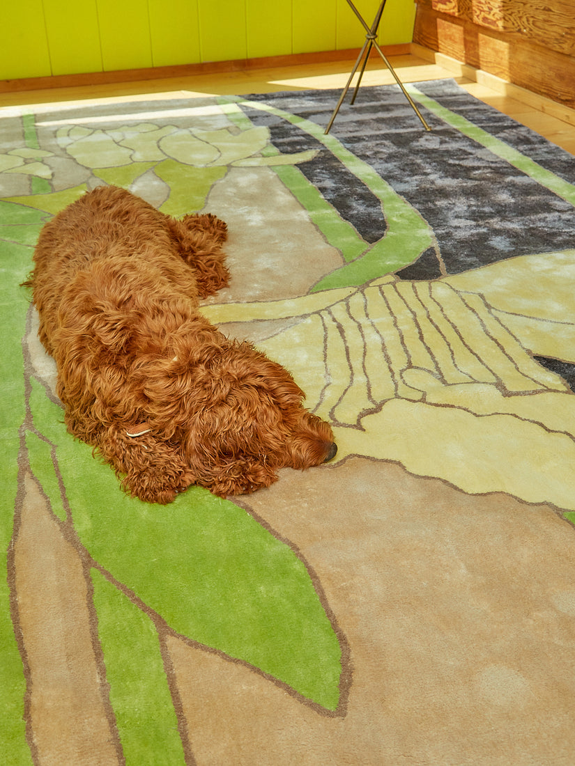 A brown fluffy dog sleeps on the Disappearing Daffodil rug.