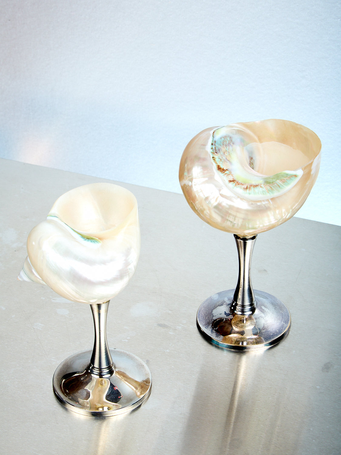 Curly Shell Glass Silver Stem