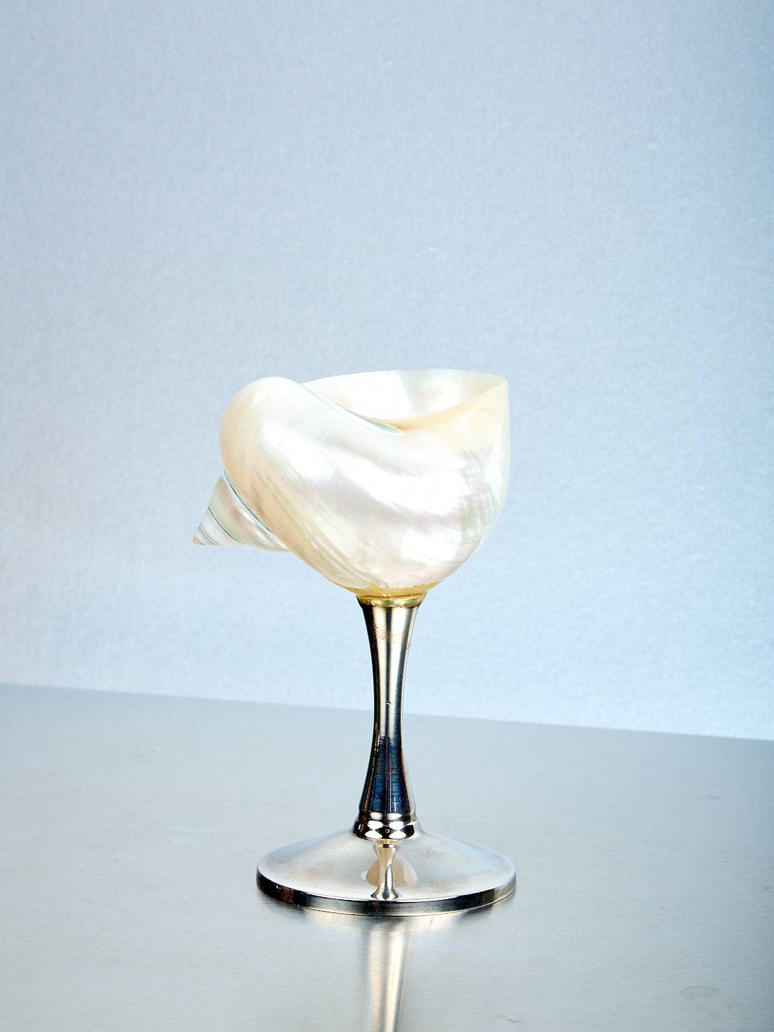 Curly Shell Glass Silver Stem