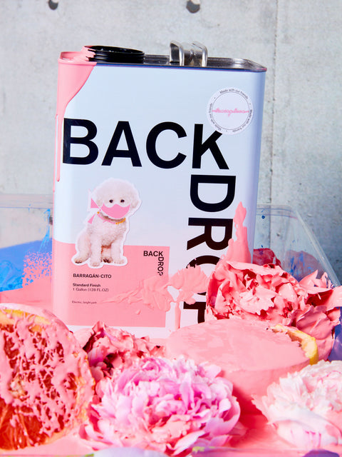 Barragan-cito pink paint and a bunch of pink covered items.