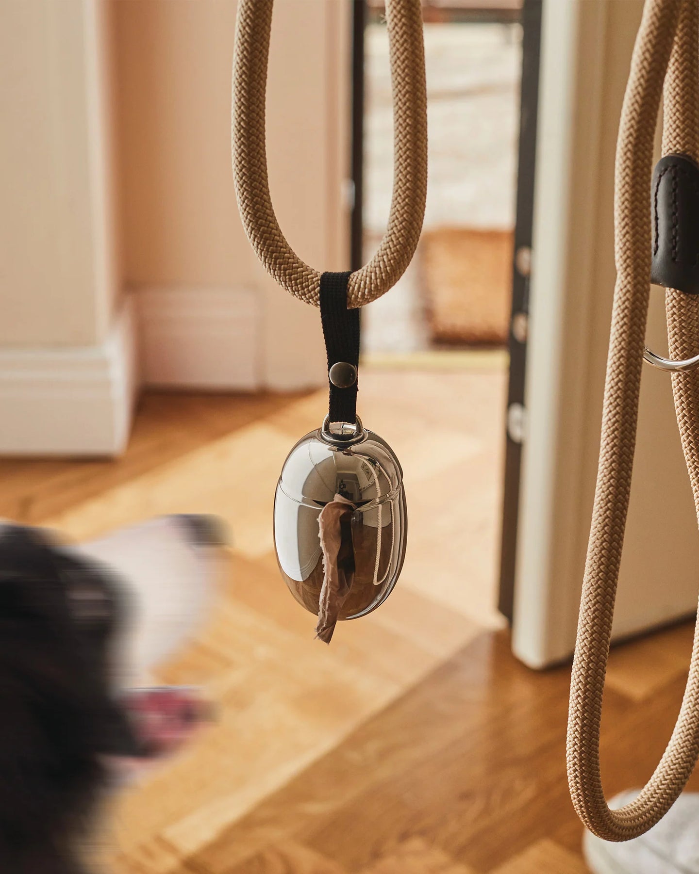 Acino Dog Waste Bag Dispenser by Miriam Mirri