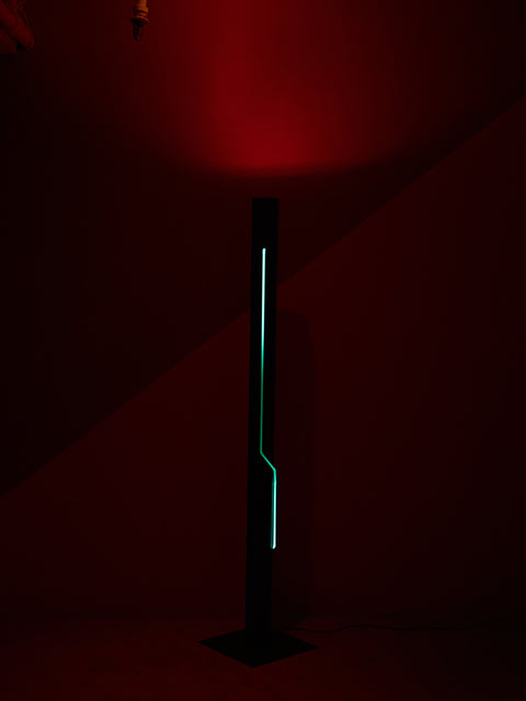 Neon Floor Lamp