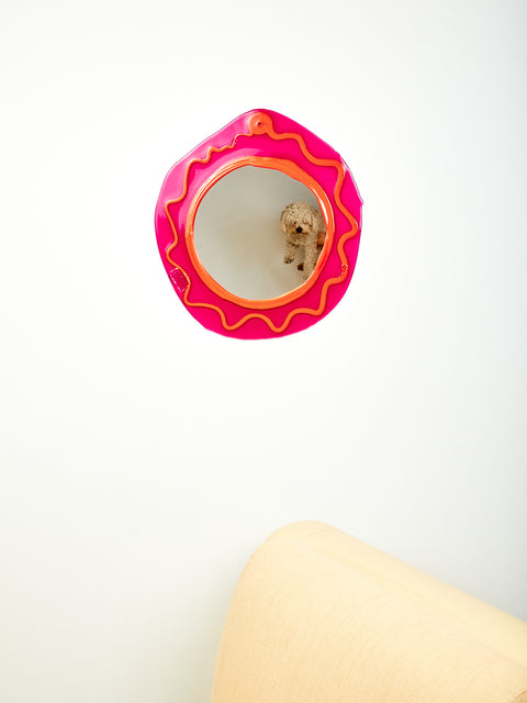 A small white dog can be seen in the reflection of the round mirror.