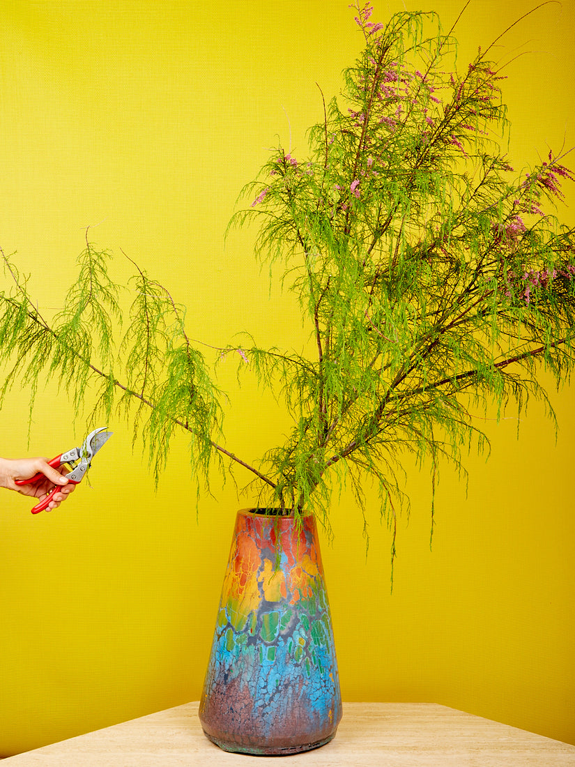 A hand holds a pair of garden shears up to large branches that are in a rainbow vesta max vase by Concrete Cat.
