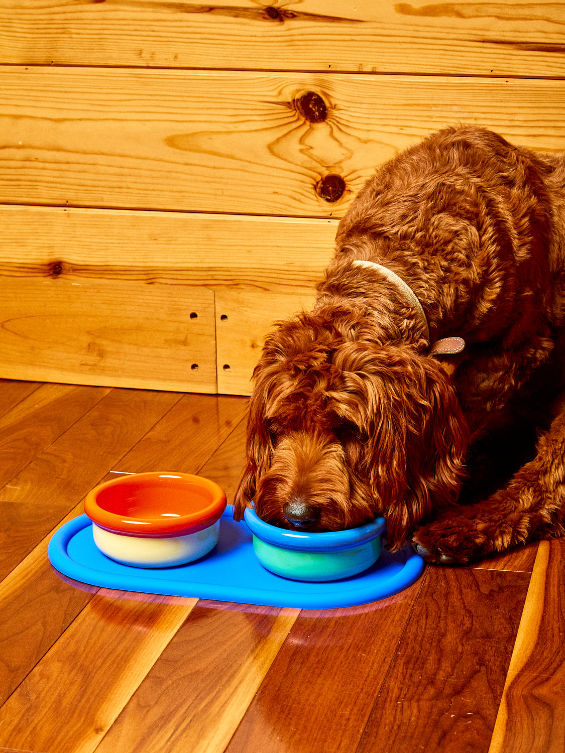 Every Pet Eats Bowl Set