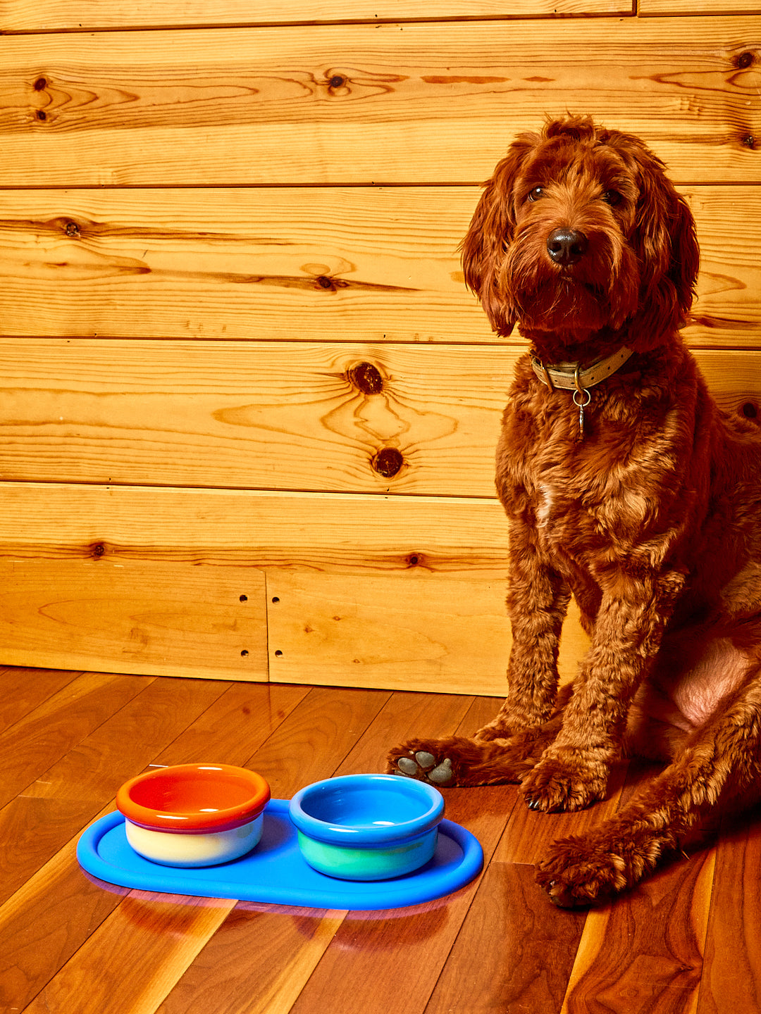 Every Pet Eats Bowl Set – Coming Soon