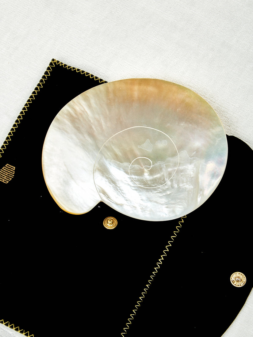 Mother of Pearl Nautilus Dish