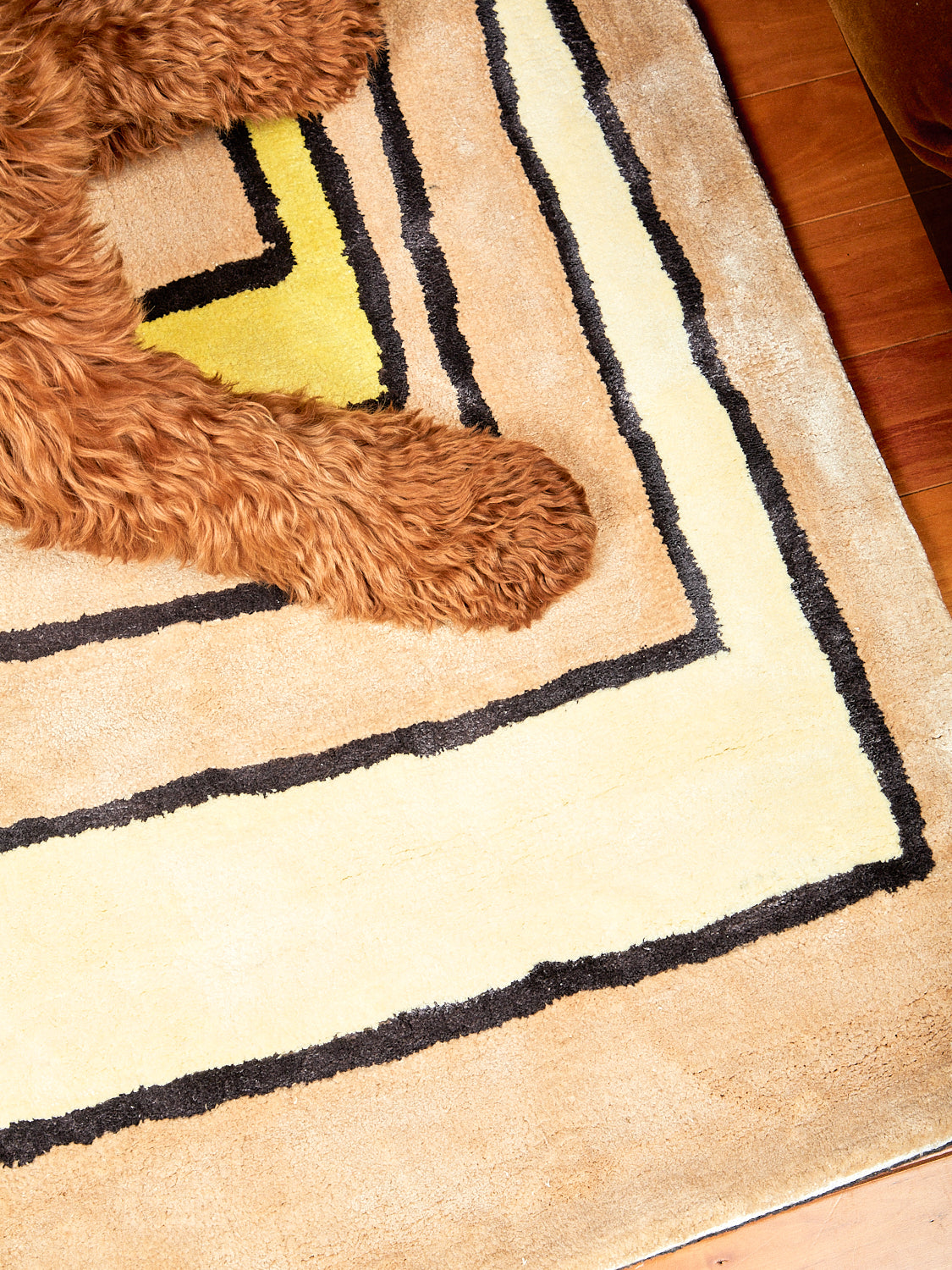 Close up picture of the Time Frame Rug by Cold Picnic with a brown dog's paw on top. 