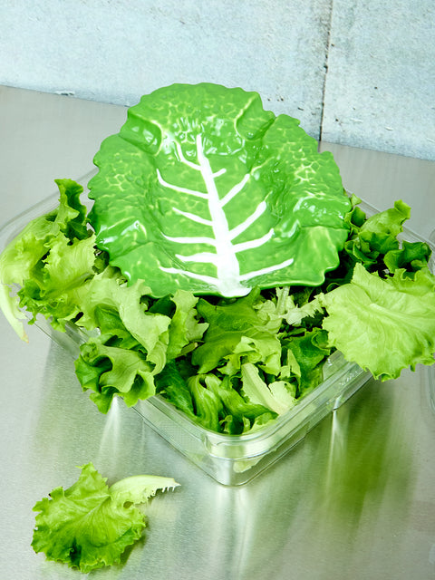 Lettuce Ashtray