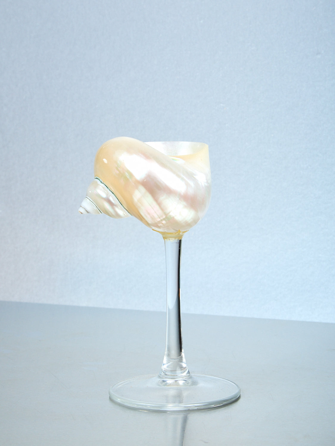 Curly Shell Glass
