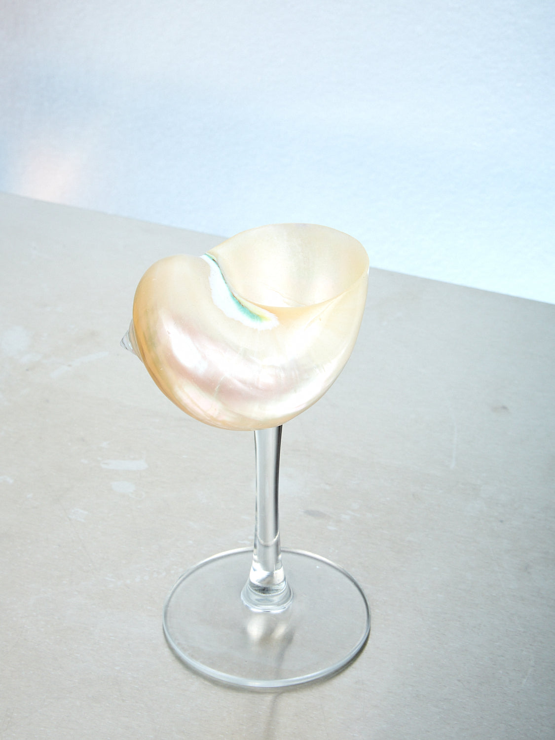 Curly Shell Glass