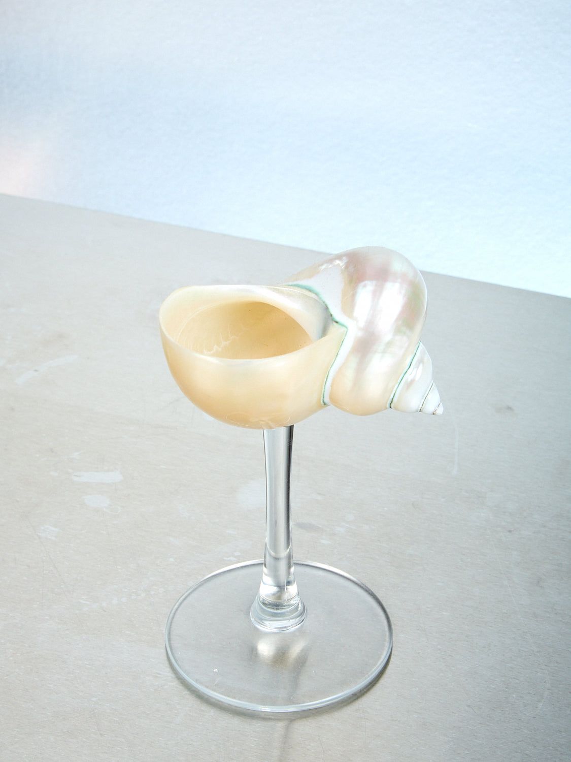 Curly Shell Glass