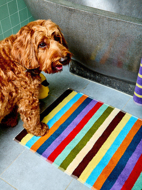 Hummingbird Bath Mat