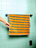 Bird Stripe Bath and Hand Towels