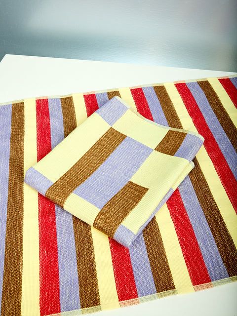 Set of 2 Terry Dish Towels