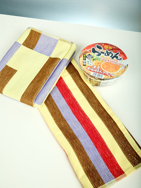 Set of 2 Terry Dish Towels