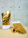Oven Gloves