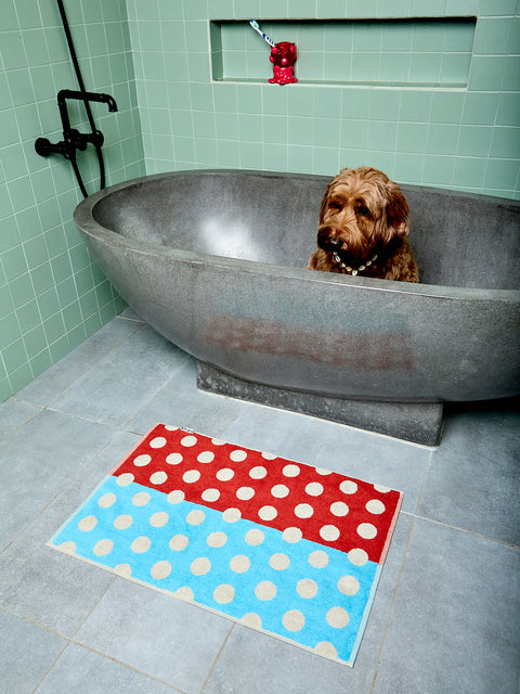 Dog sitting in a large concrete bathtub with a polka dot bath mat on the floor.