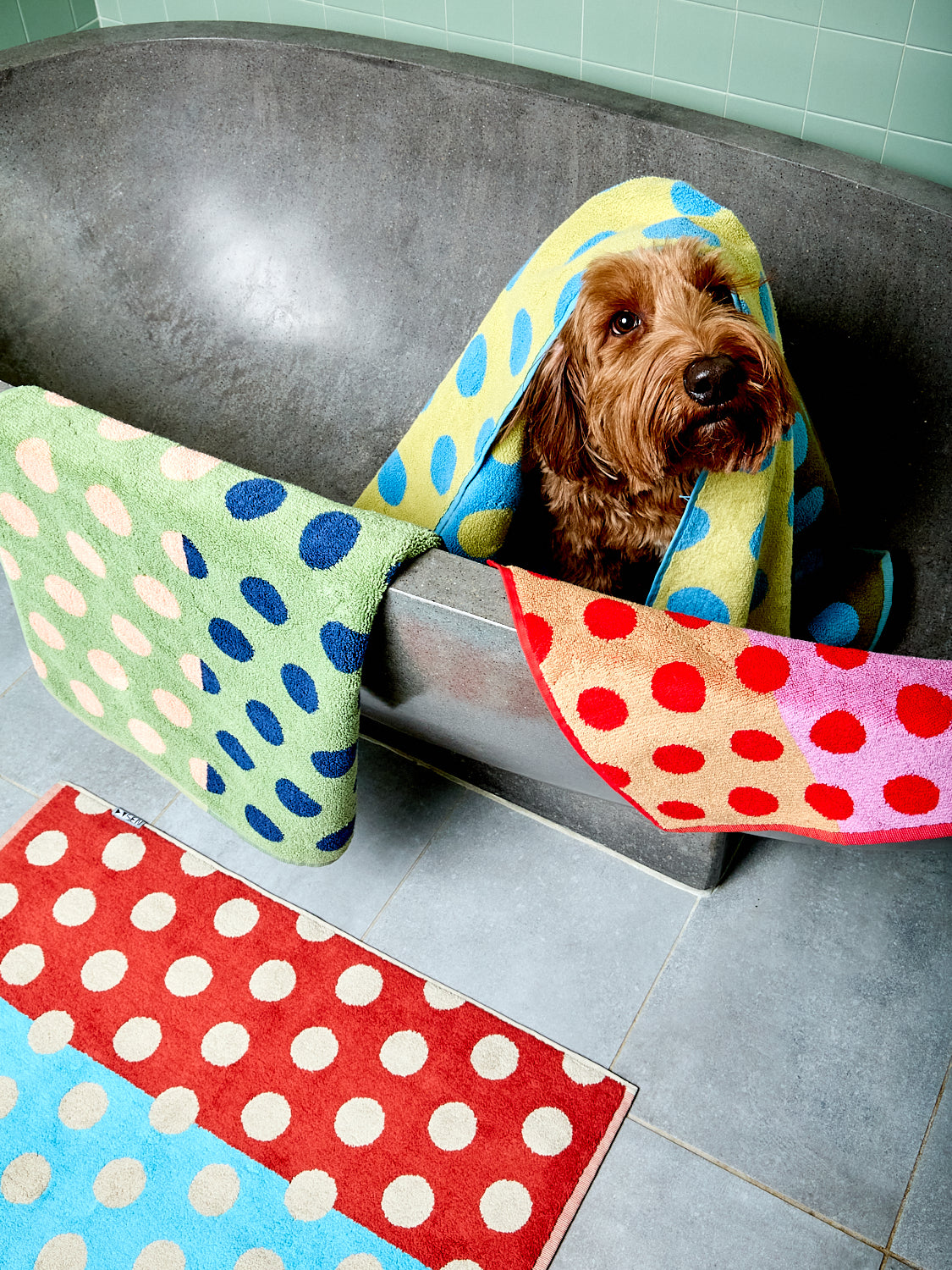 Dot Bath and Hand Towels