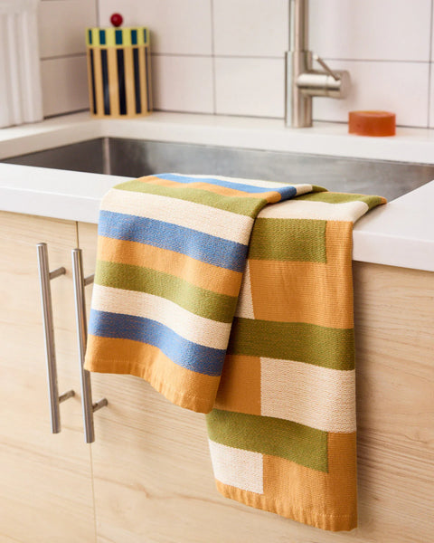 Set of 2 Terry Dish Towels