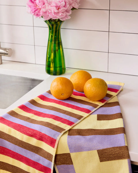 Set of 2 Terry Dish Towels