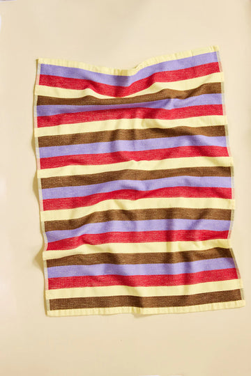 Set of 2 Terry Dish Towels