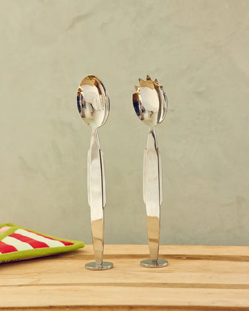 Stainless Steel Serving Set