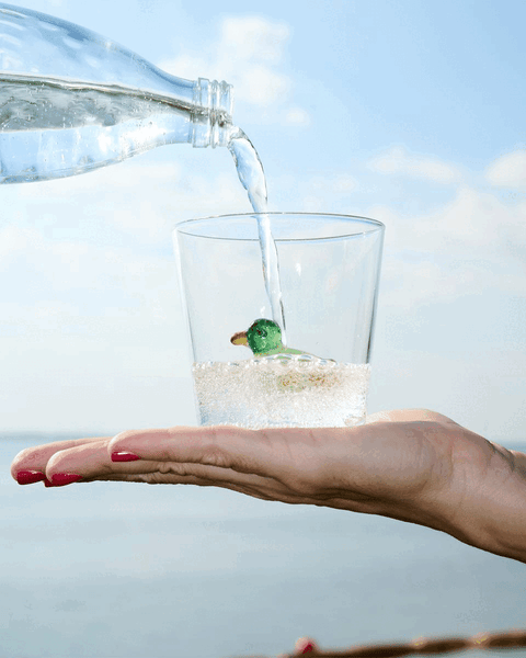 An image shows someone holding a small cup with a duck figure made of glass in the palm of their hand. Someone is pouring water into the cup from a clear bottle.