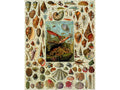 Wooden Jigsaw Puzzle