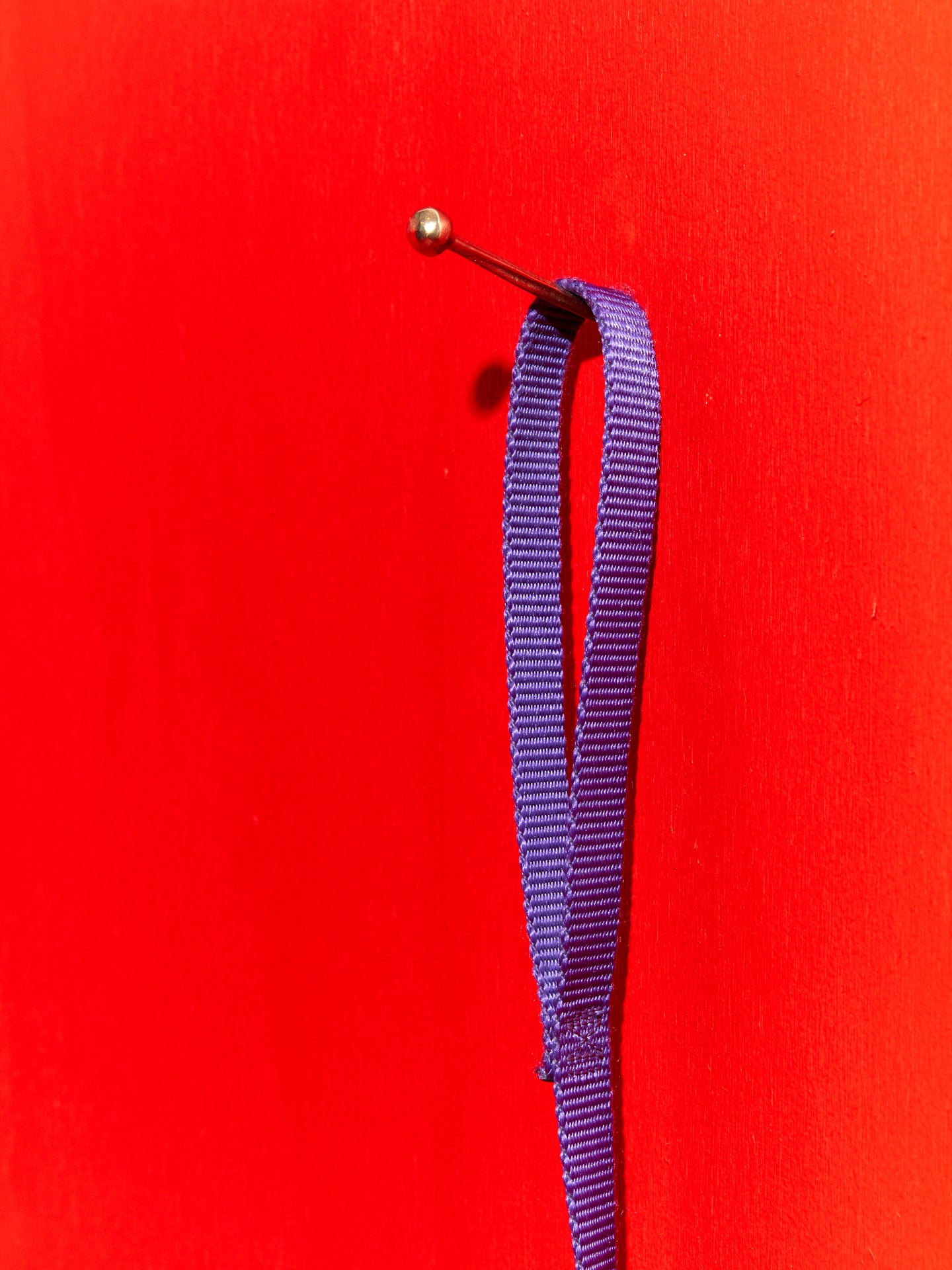 A purple dog leash hanging on a Hester the Nail.