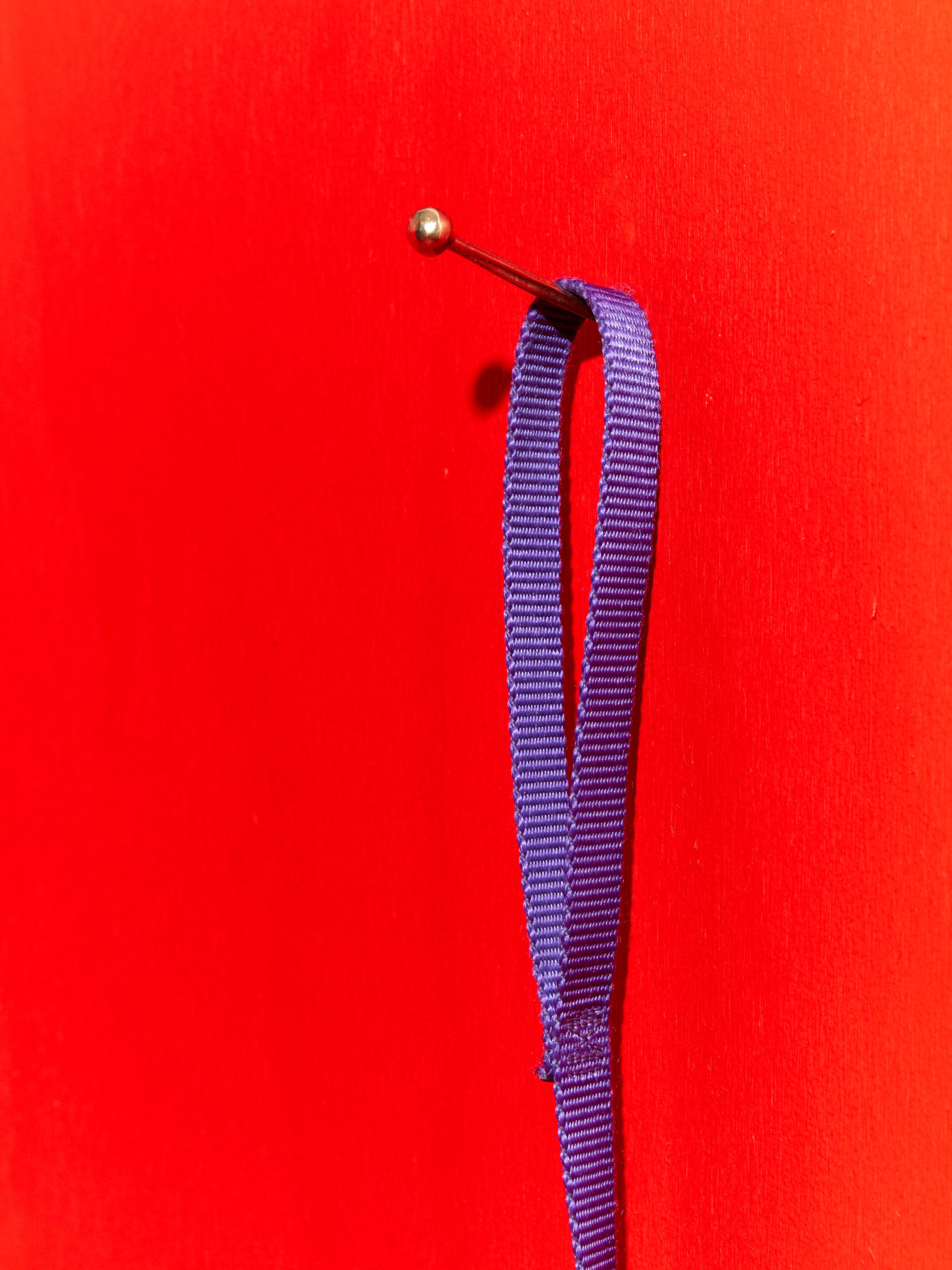 A purple dog leash hanging on a Hester the Nail.