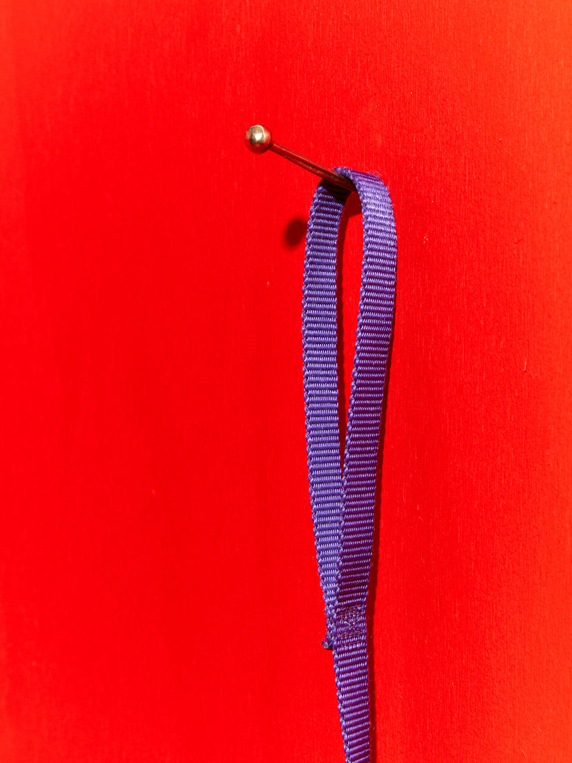 A purple dog leash hanging on a Hester the Nail.