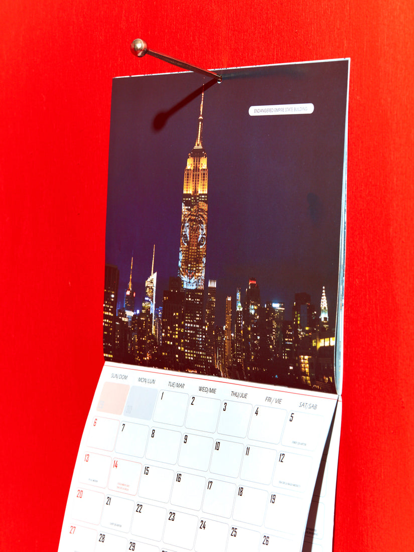 A NYC Calender hanging by a Hester the Nail. The Calendar is flipped to the Empire Sate Building photograph.