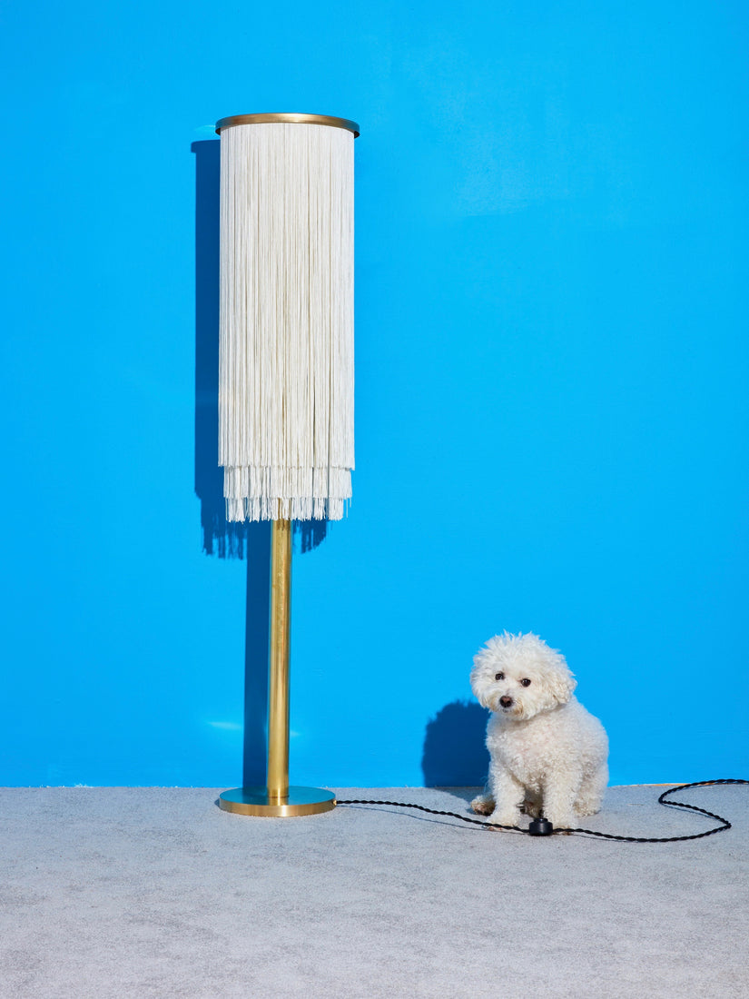 Barbara the Fringe Floor Lamp sits left of a small white fluffy dog.