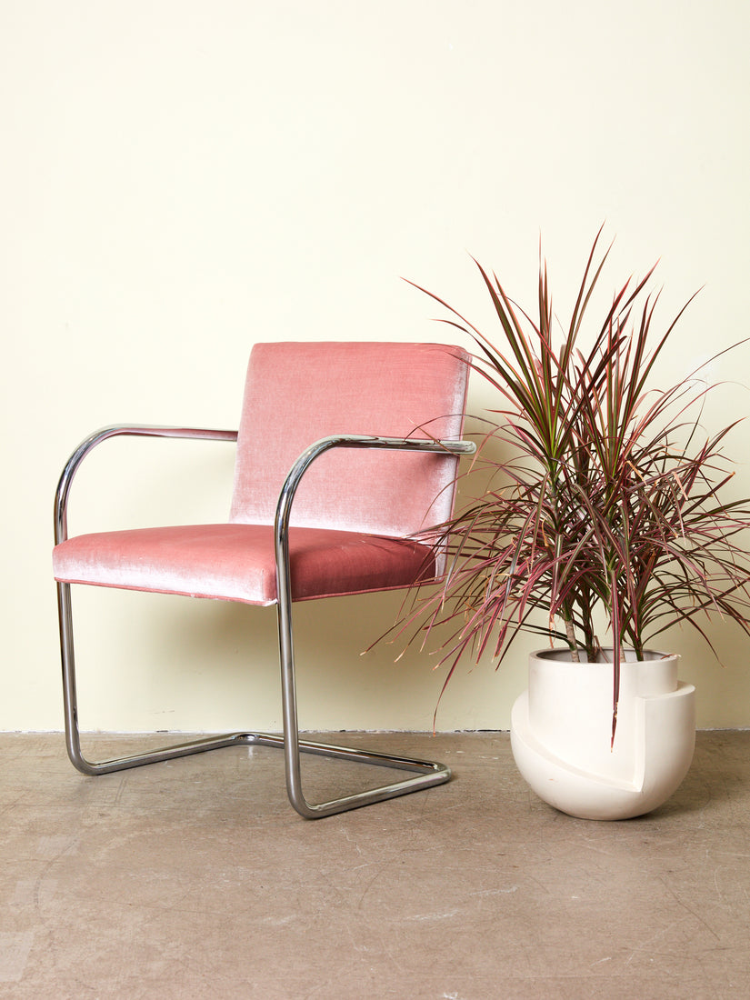 Pink Velvet upholstered tubular Brno Chair by Mies van der Rohe next to a Light + Ladder planter with a palm.