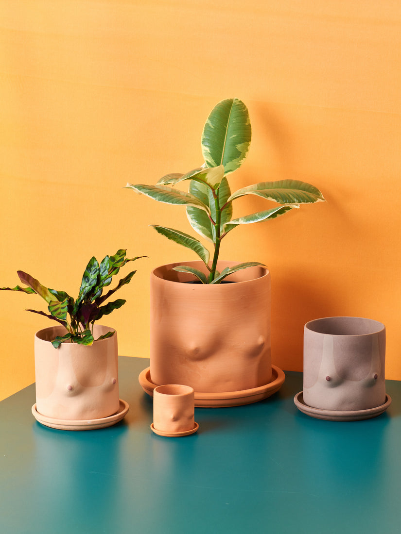 Four Group Partner Nude Top Pots in different hues and sizes. Two pots planted with green leafy plants.