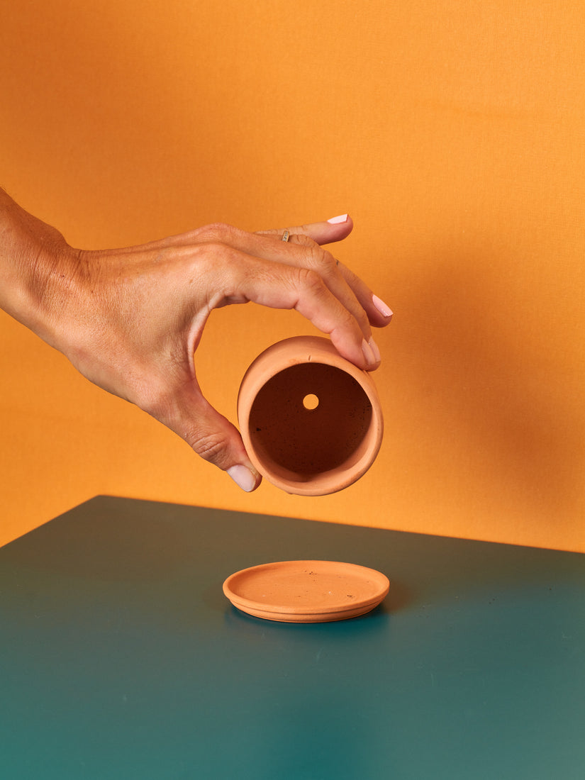 A hand holds up the mini nude top pot showing its hole at the bottom. The saucer sits resting on a green surface.