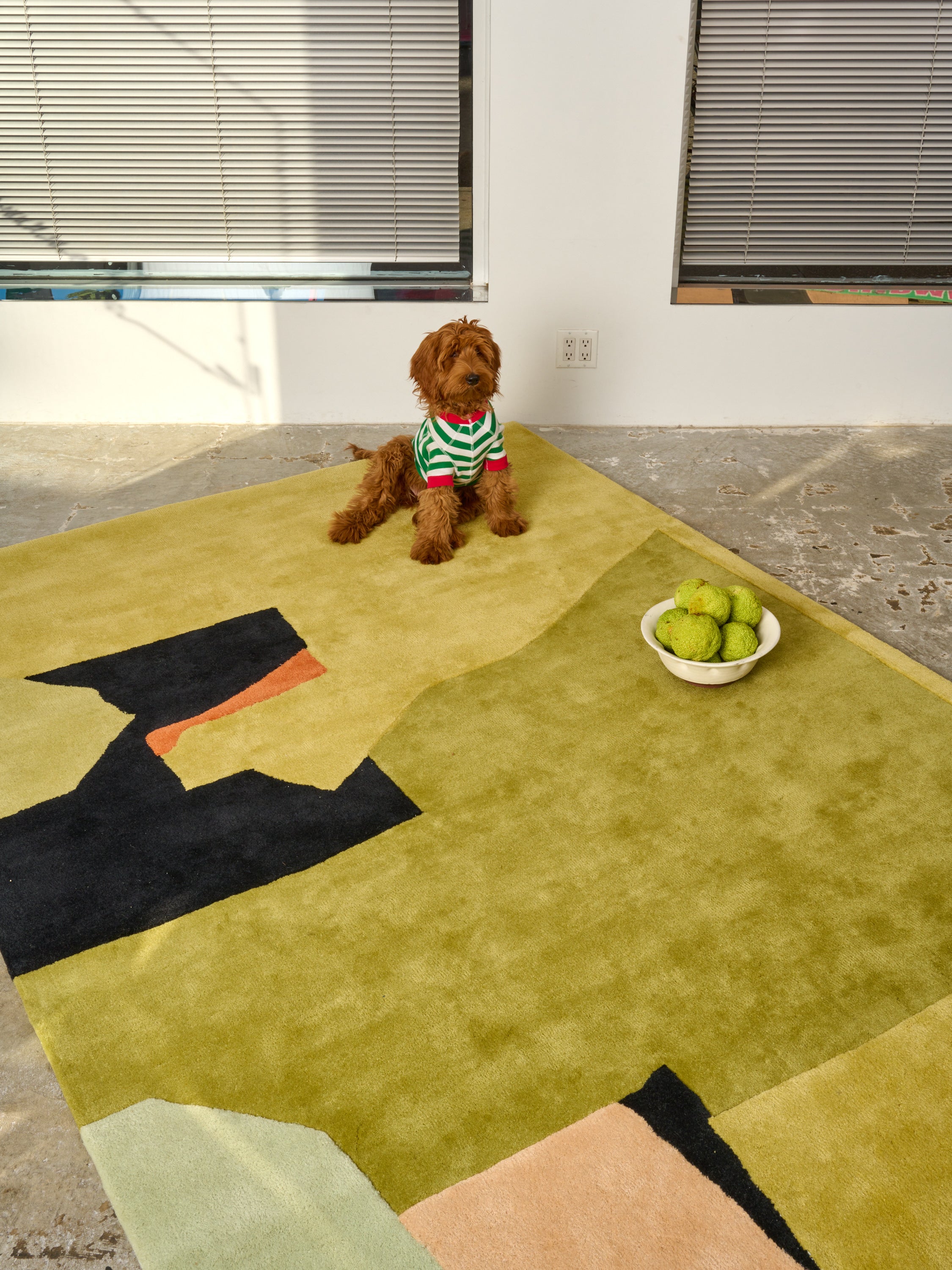 A dog in a green and red striped shirt sits on a Beau Travail Djibouti rug next to a bowl of green fruit.