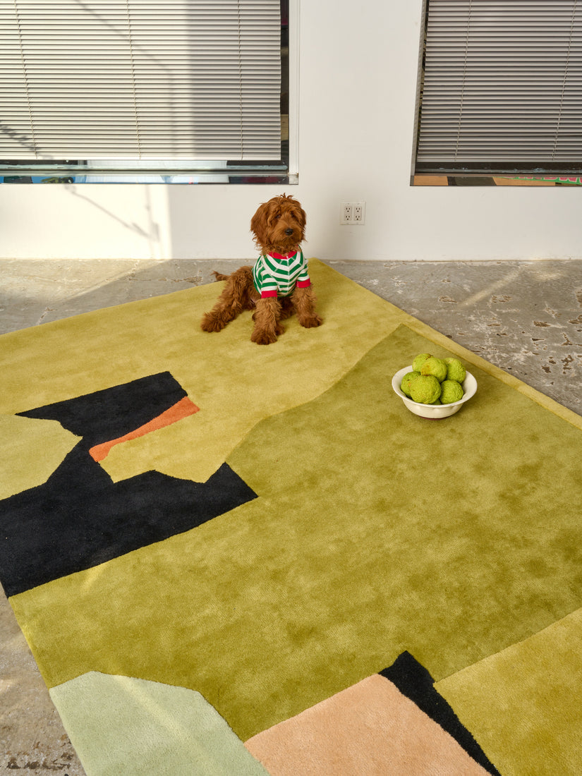 A dog in a green and red striped shirt sits on a Beau Travail Djibouti rug next to a bowl of green fruit.