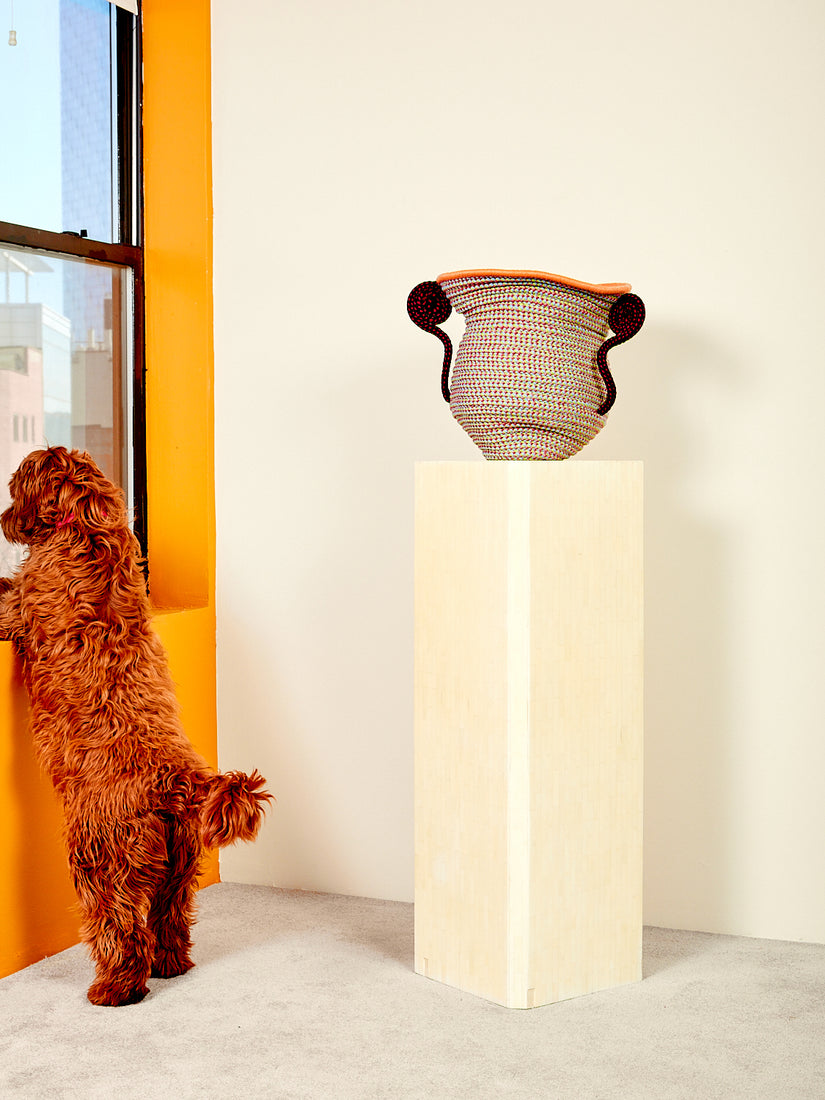 A dog looks out the window beside the vintage pedestal.